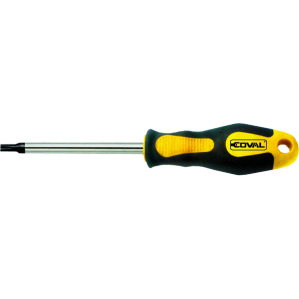 WKRĘTAK PLUS TORX  Z OTWOREM COVAL